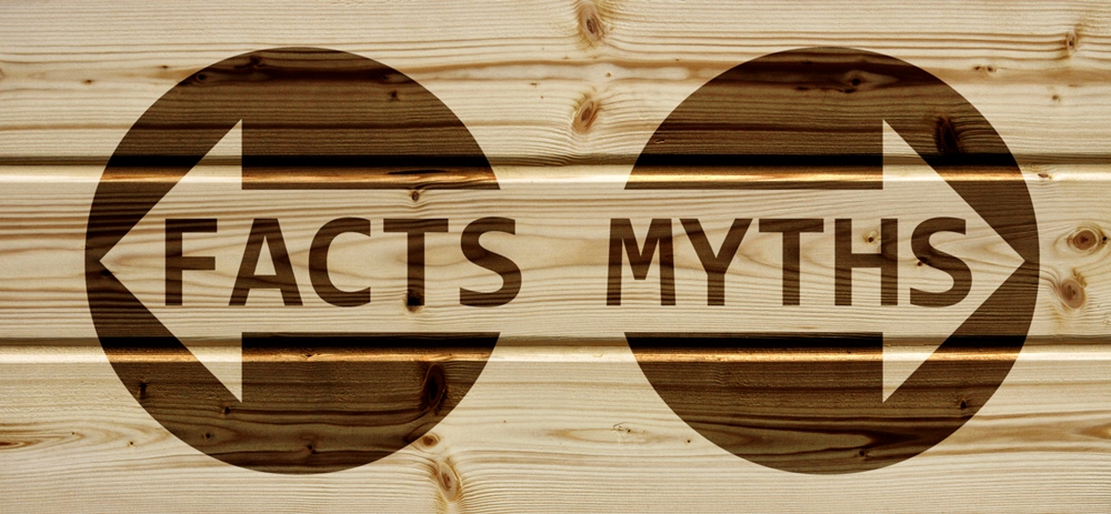 Six email marketing myths we need to “de-myth-tify” - Kompani Group